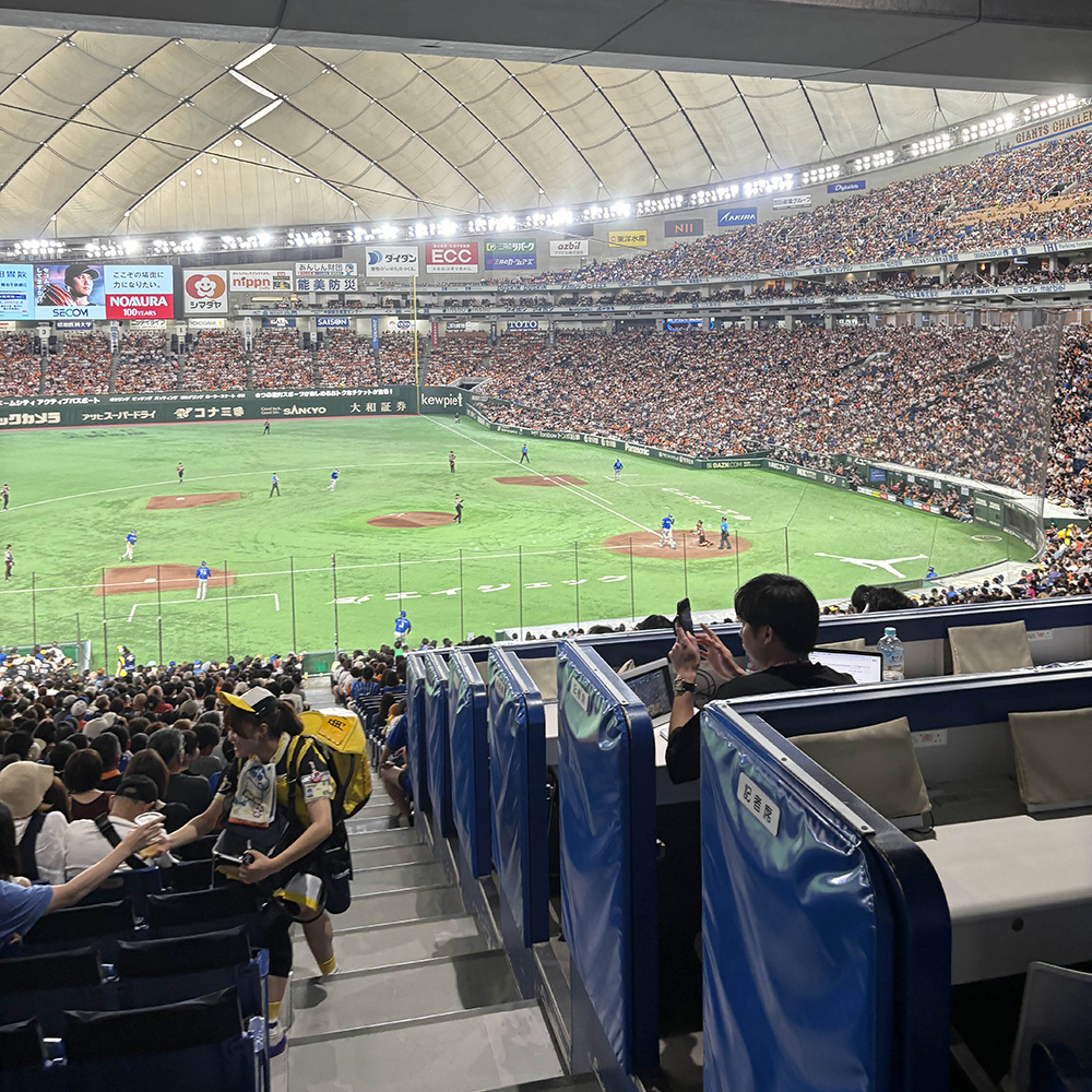 baseball stadium