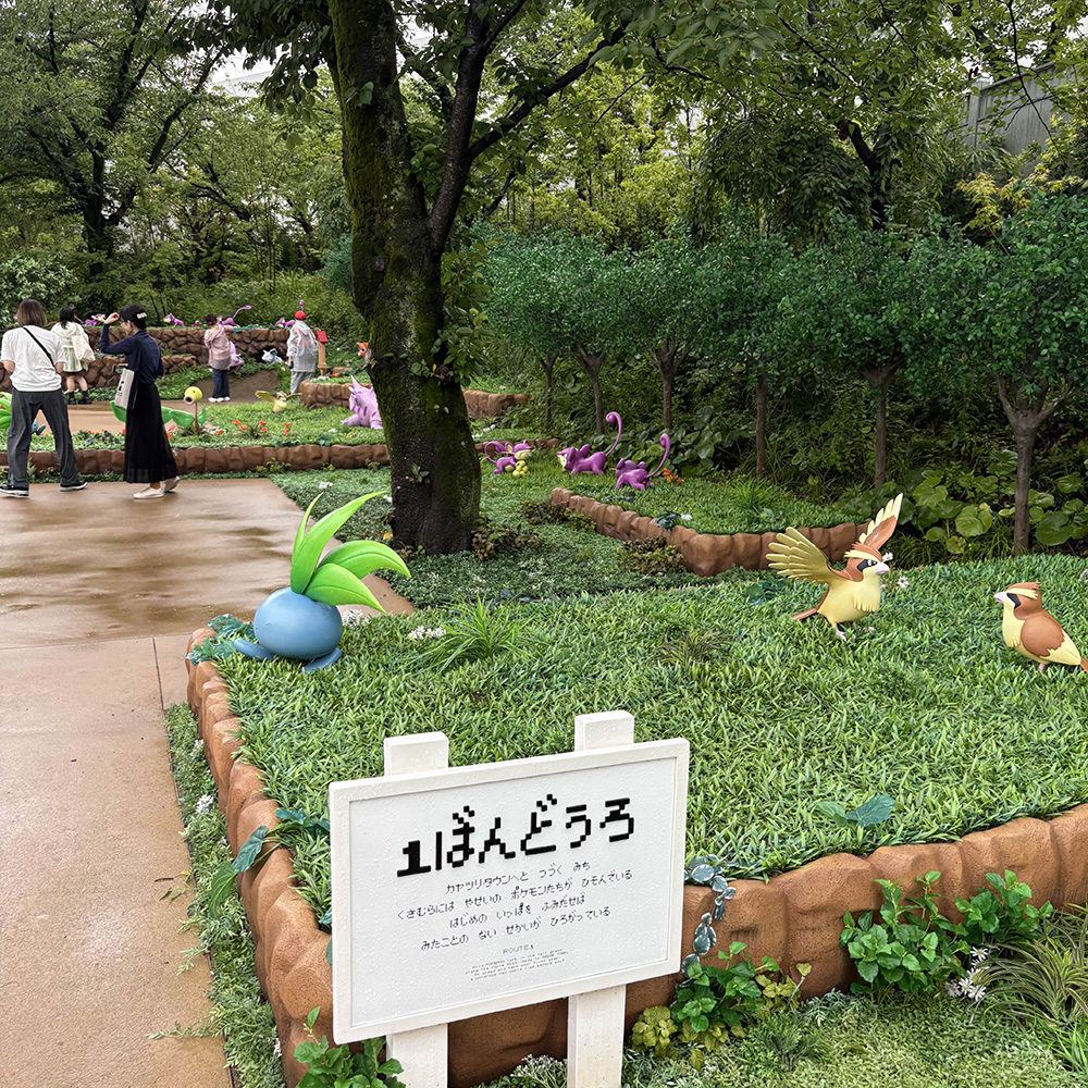 route 1 in pokemon forest
