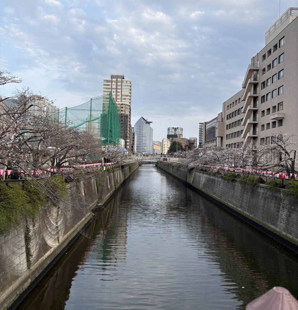 Meguro river during the day