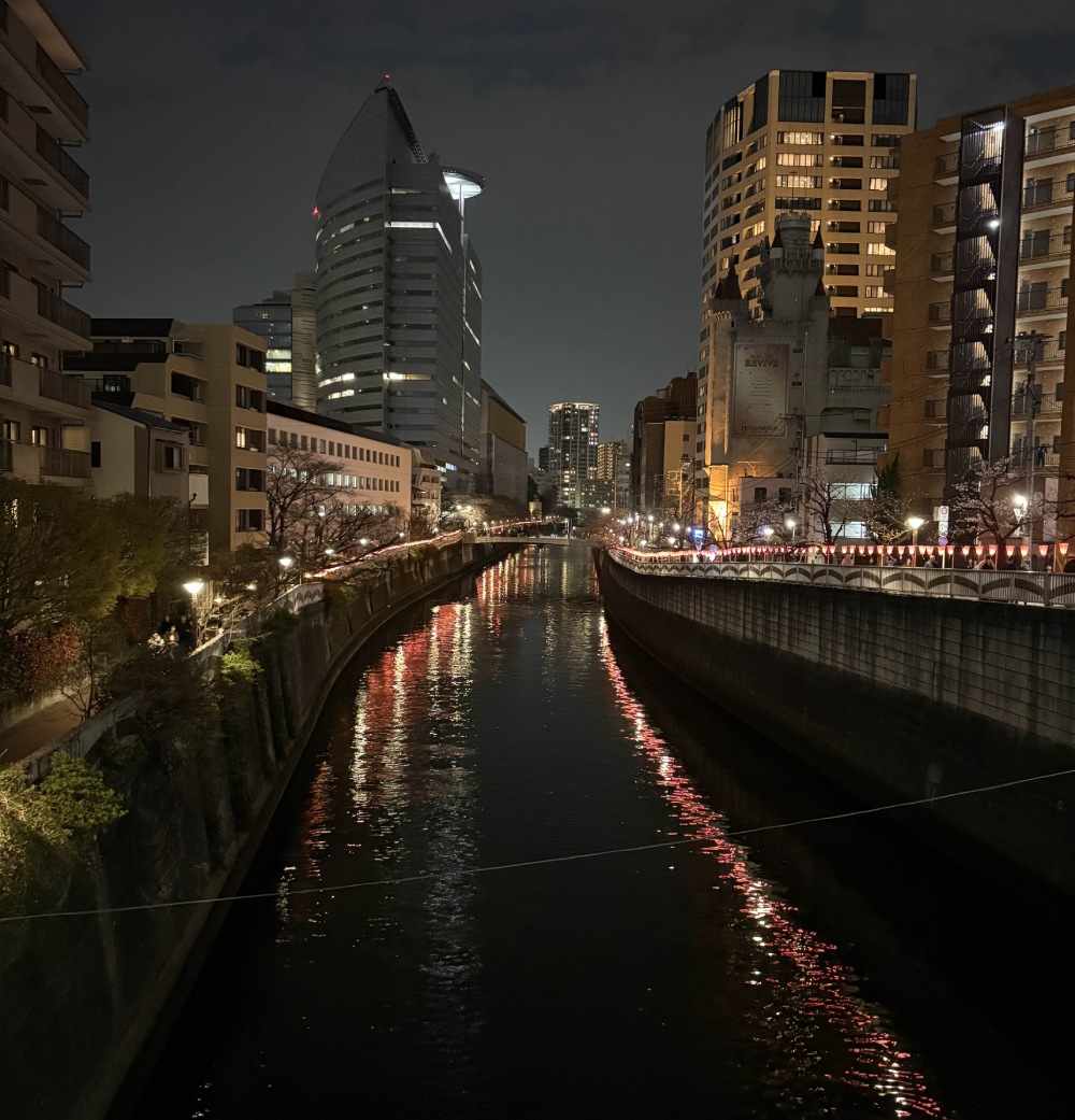 Meguro at night