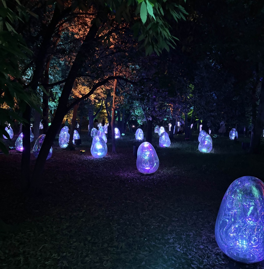 lit eggs at night