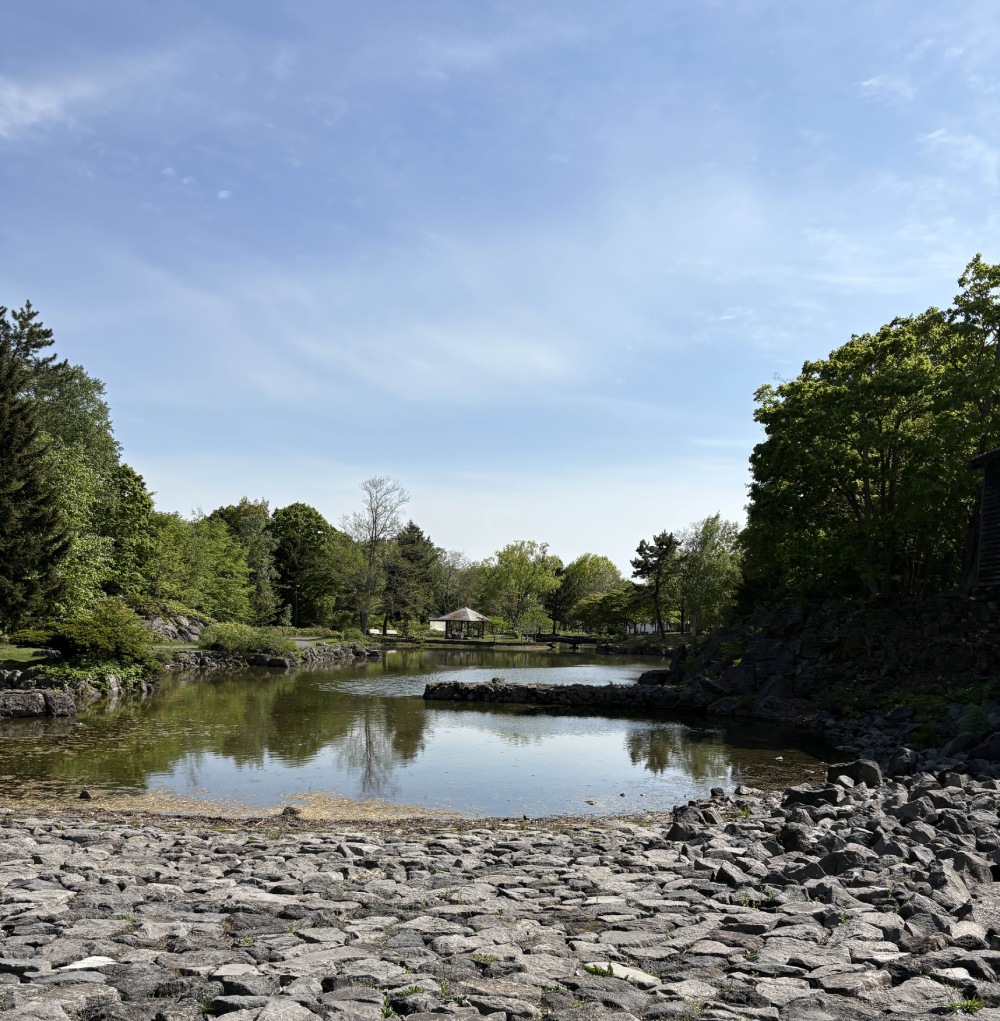 pond