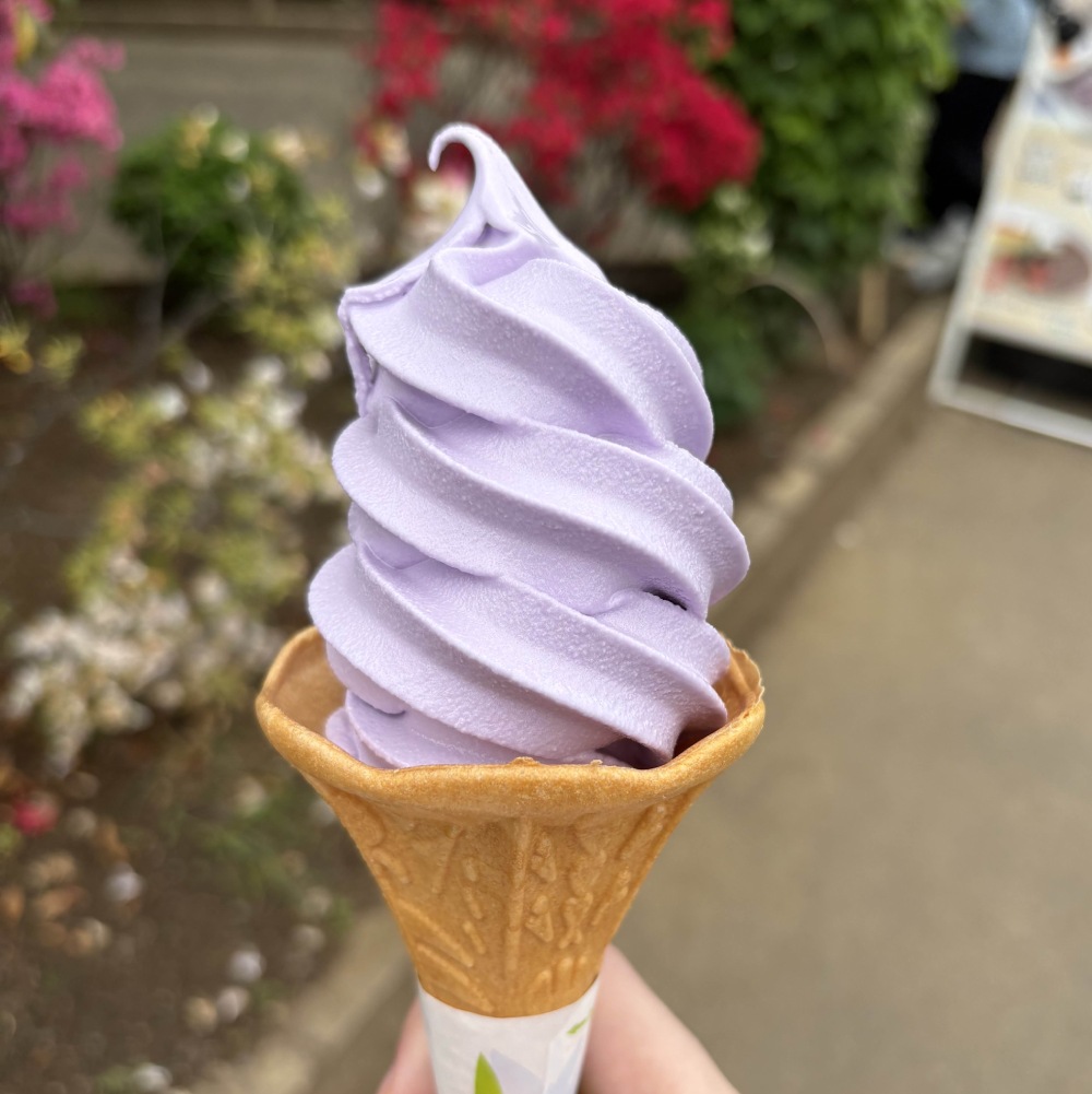 wisteria ice cream